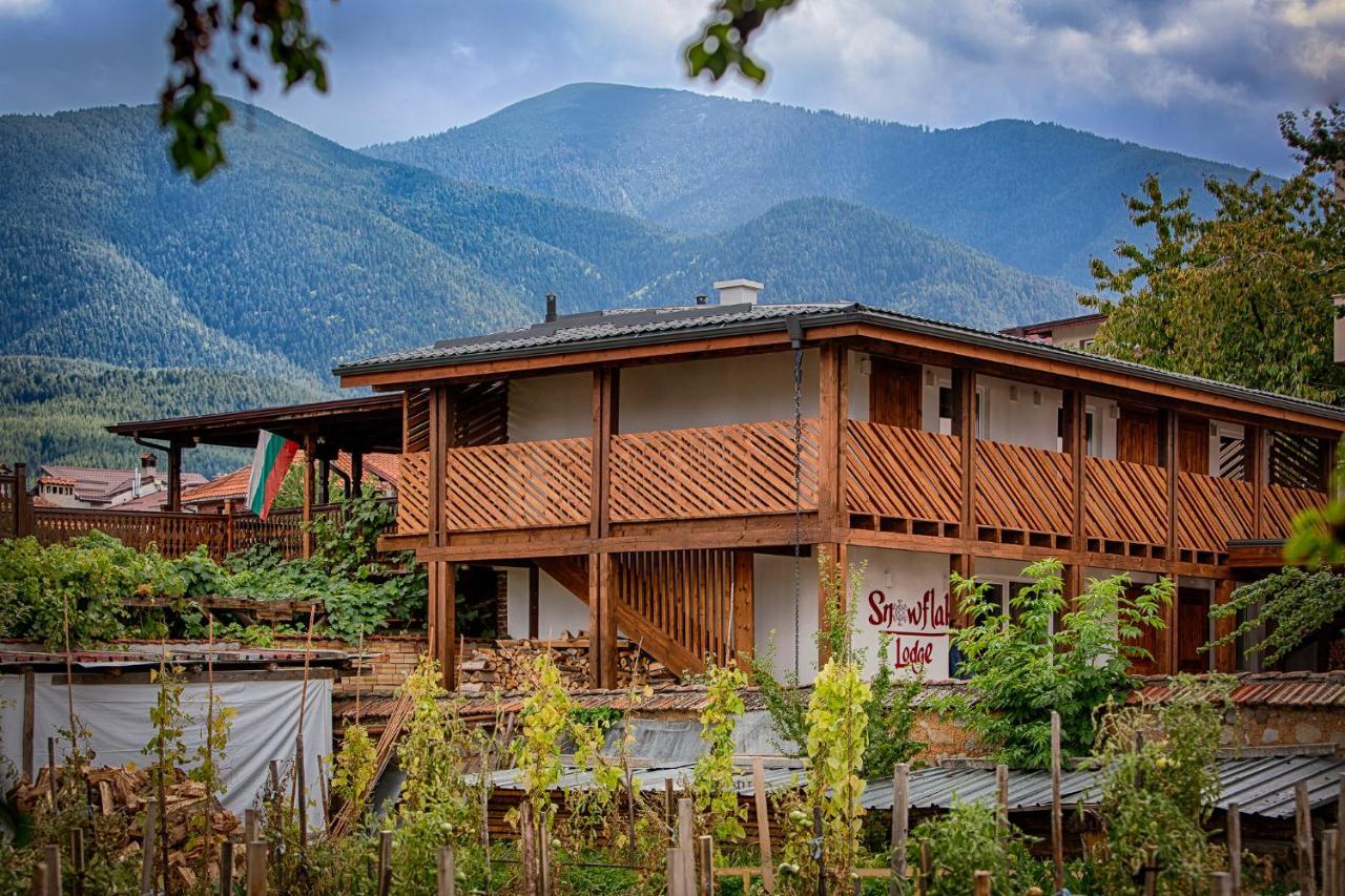 Къщи За Гости Сноуфлейк Snowflake Chalet And Snowflake Lodge 반스코 외부 사진