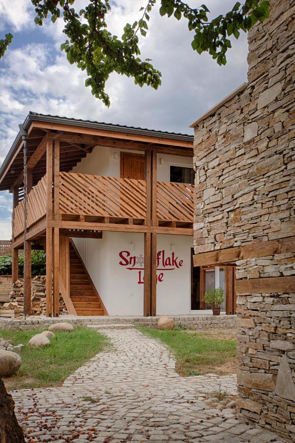 Къщи За Гости Сноуфлейк Snowflake Chalet And Snowflake Lodge 반스코 외부 사진